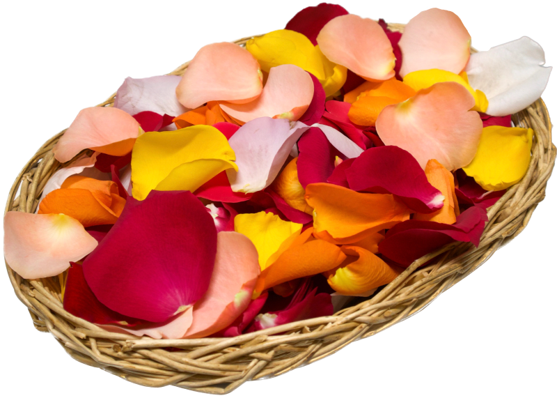 Rosenblütenblätter passend